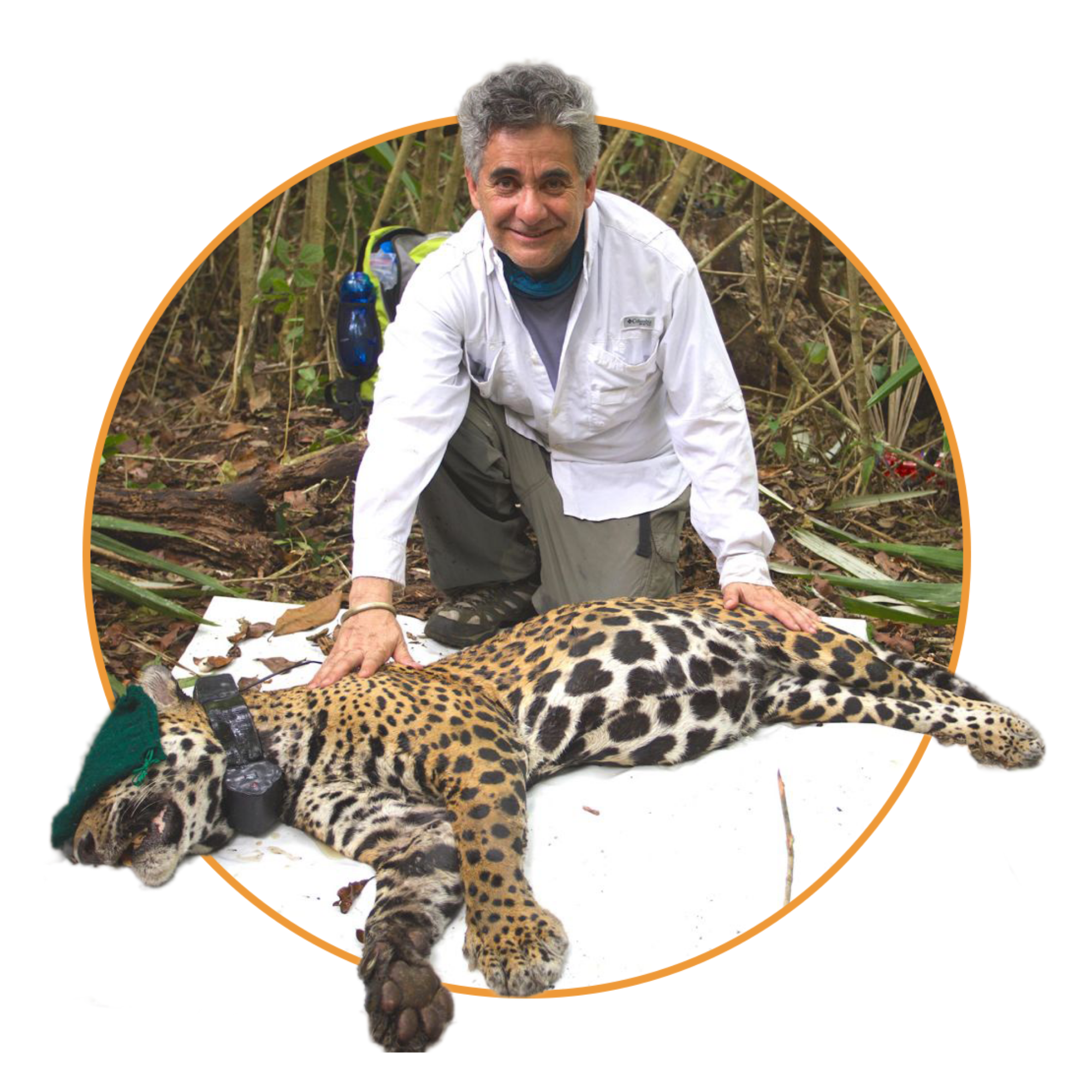Dr. Gerardo Ceballos con jaguar